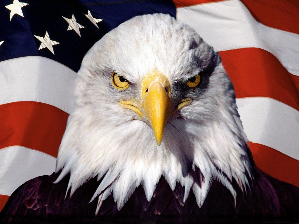 With-Eagle-With-US-Flag