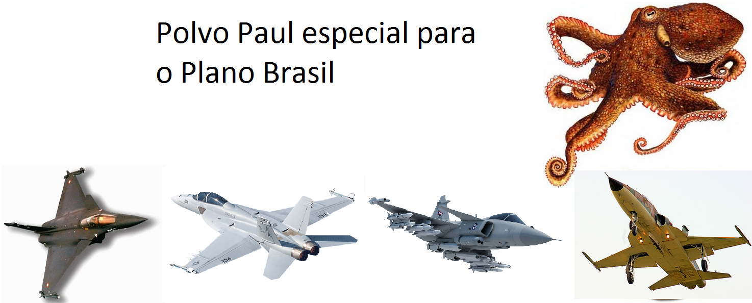 polvo-paul-plano-brasil23