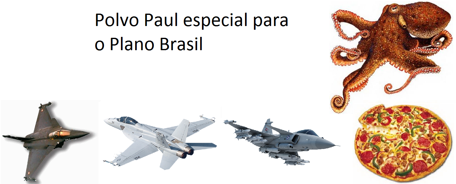 polvo-paul-plano-brasil3
