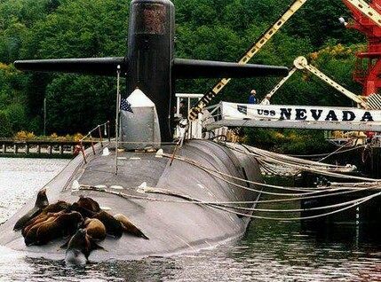Humor: Grupamento “Seal” descansa após exaustivos treinamentos no USS Nevada