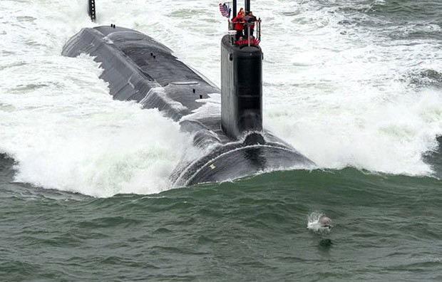 Golfinho ‘disputa corrida’ com submarino nuclear em testes nos EUA.
